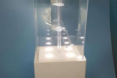 IMG-20170220-WA0000